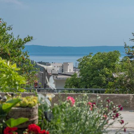 Apartment Strawberry Makarska Ngoại thất bức ảnh