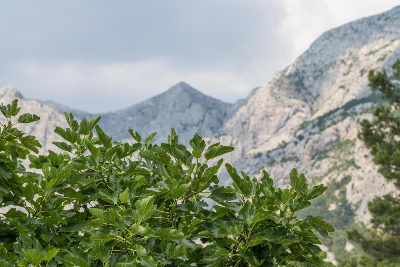 Apartment Strawberry Makarska Ngoại thất bức ảnh