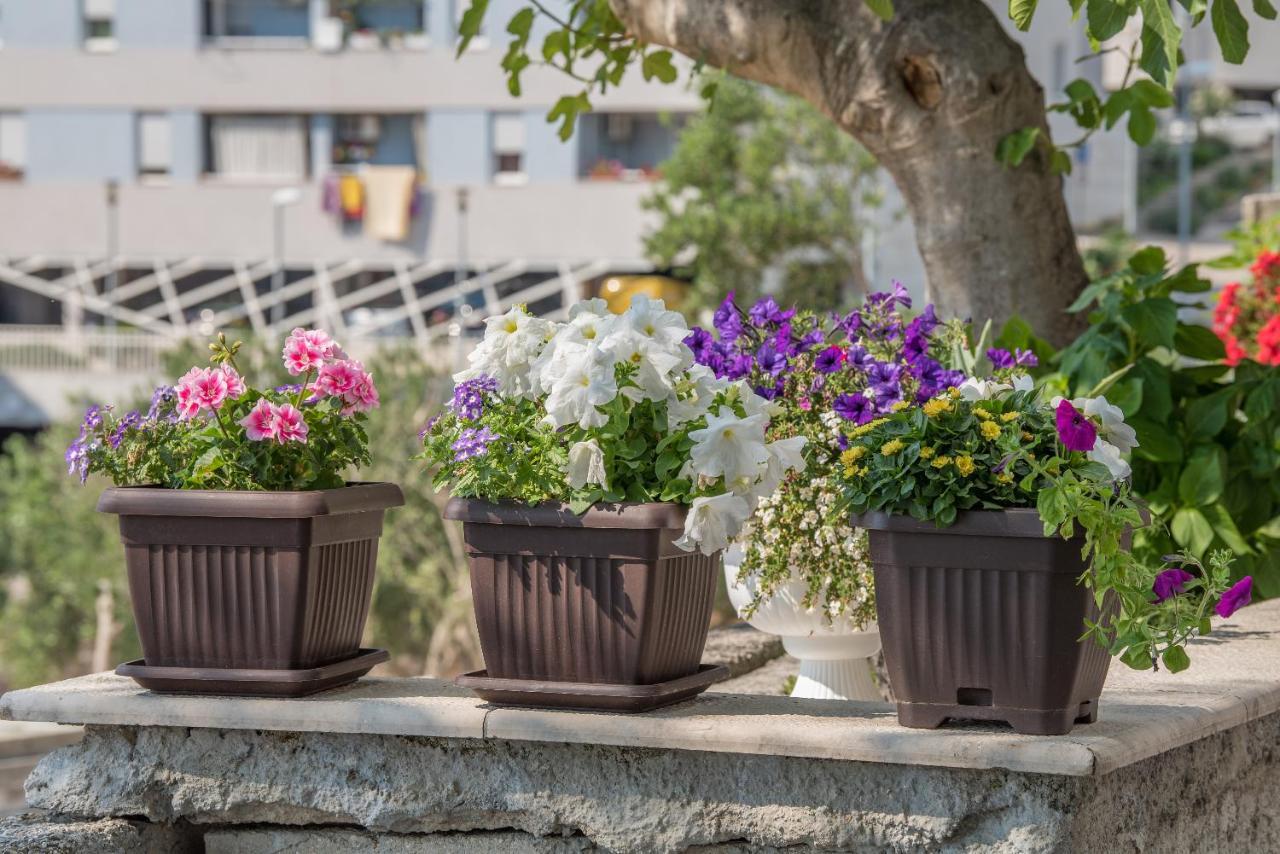 Apartment Strawberry Makarska Ngoại thất bức ảnh